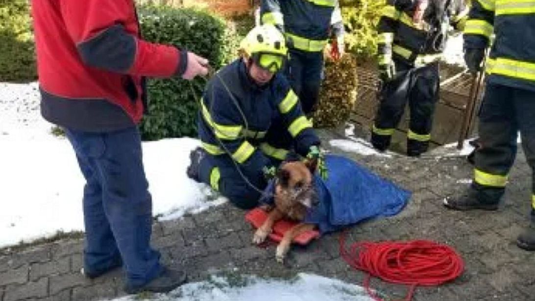 Hasiči zachraňovali na Brněnsku psa z odpadního potrubí